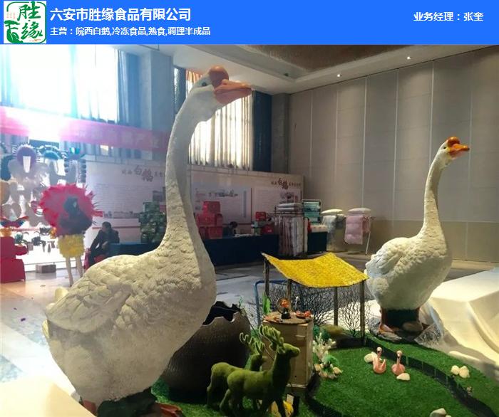 熱烈慶祝2019皖西白鵝美食節取得圓滿(mǎn)成功！